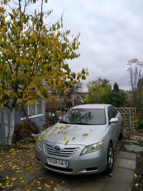 Toyota Camry XV40, 2006 г.