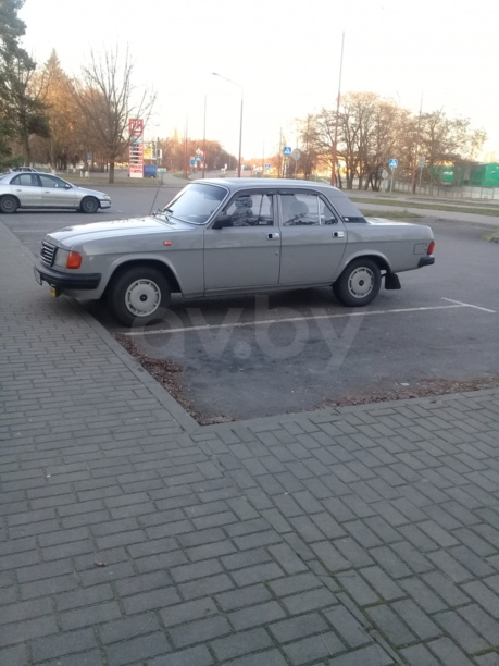ГАЗ 31029, 1996 г.