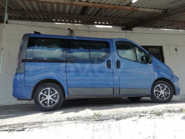 Nissan Primastar, 2004 г.