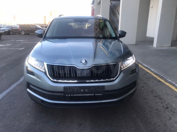 Skoda Kodiaq, 5 мест, 2017 г.