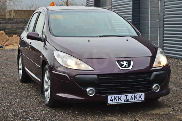 Peugeot 307 I · Рестайлинг, 2006 г.