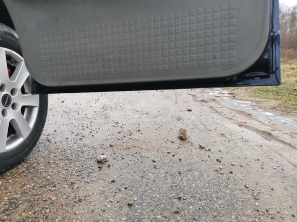 Volkswagen Caravelle T4, 2001 г.
