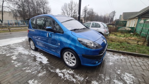 Peugeot 1007, 2005 г.