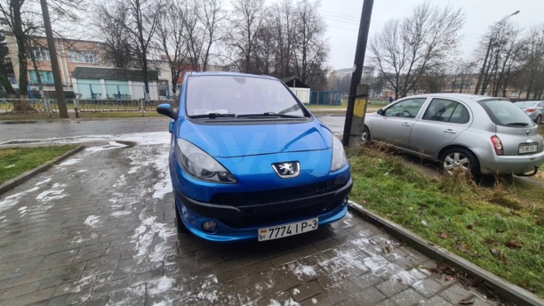 Peugeot 1007, 2005 г.