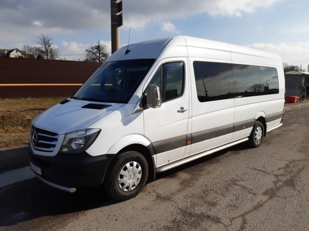 Mercedes-Benz Sprinter 318, 2009 г.