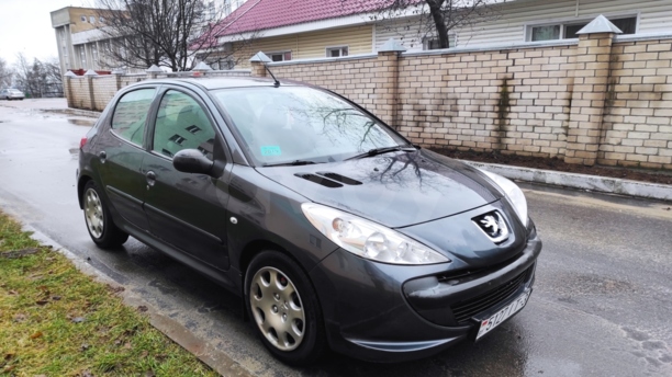 Peugeot 206 Plus, 2010 г.