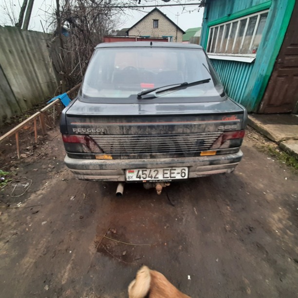 Peugeot 309 I · Рестайлинг, 1989 г.