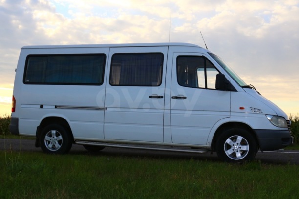 Mercedes-Benz Sprinter 313 CDI, 2001 г.
