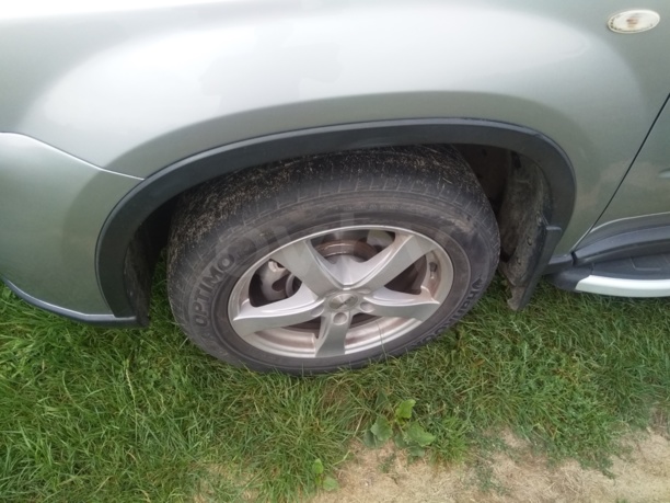 Nissan X-Trail II (T31), 2007 г.