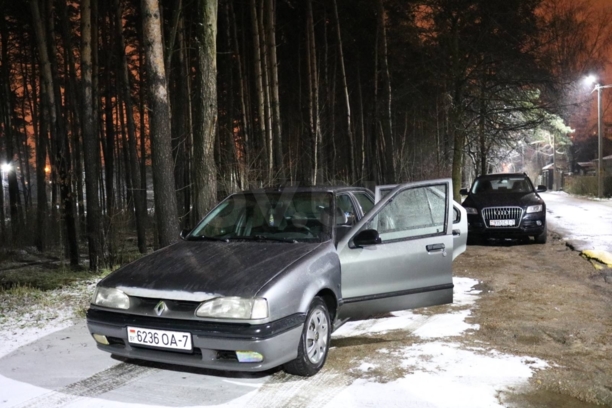 Renault 19 II, 1995 г.