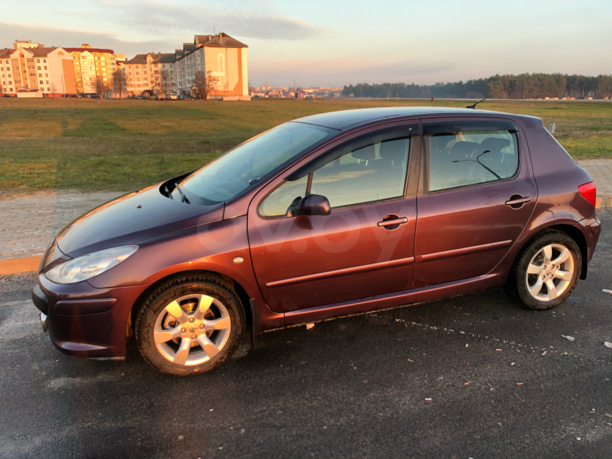 Peugeot 307 I · Рестайлинг, 2006 г.