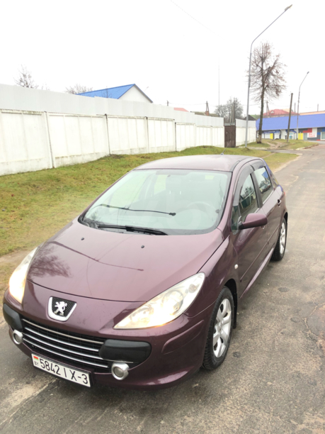 Peugeot 307 I · Рестайлинг, 2006 г.