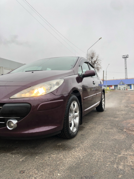 Peugeot 307 I · Рестайлинг, 2006 г.