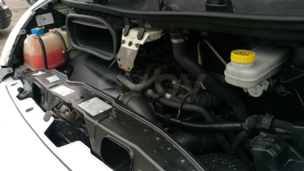 Fiat Ducato Panorama 3.0, 2008 г.