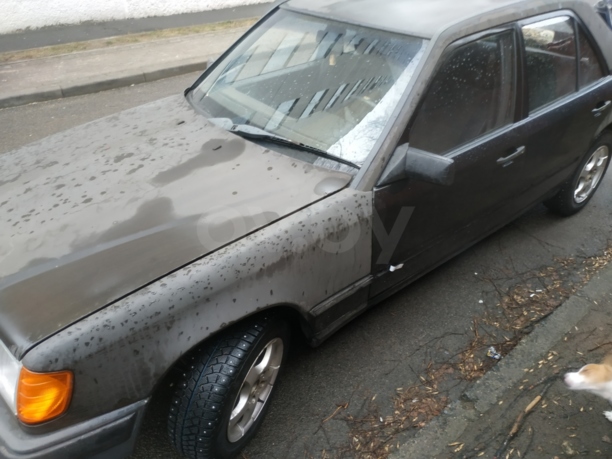 Mercedes-Benz E-Класс W124, S124, C124, A124, 1987 г.