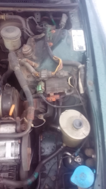 Rover 600, 1996 г.