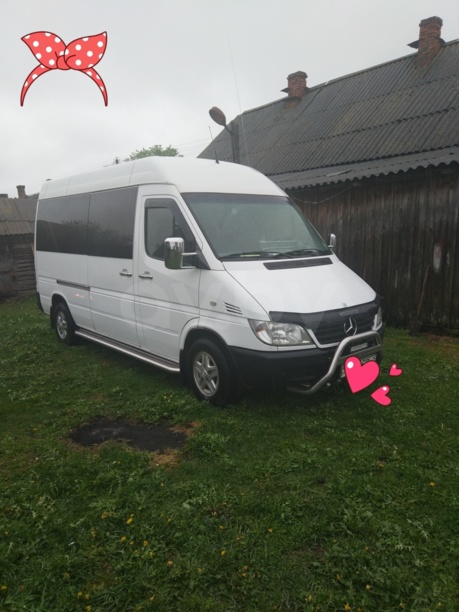 Mercedes-Benz Sprinter, 2004 г.