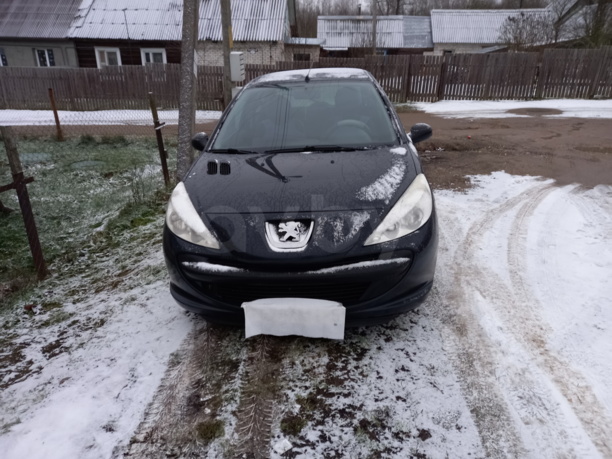 Peugeot 206 Plus, 2010 г.
