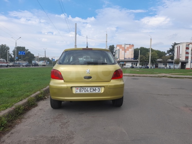 Peugeot 307 I · Рестайлинг, 2006 г.