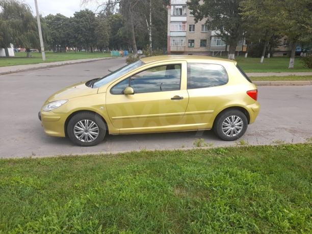 Peugeot 307 I · Рестайлинг, 2006 г.
