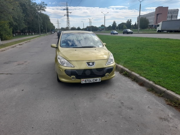 Peugeot 307 I · Рестайлинг, 2006 г.