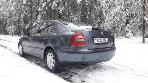 Skoda Octavia II, 2004 г.