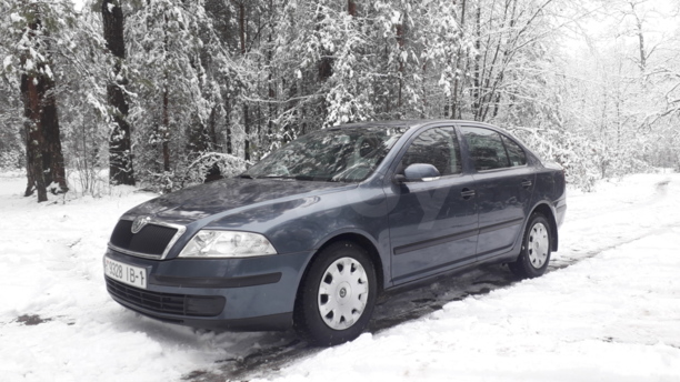 Skoda Octavia II, 2004 г.