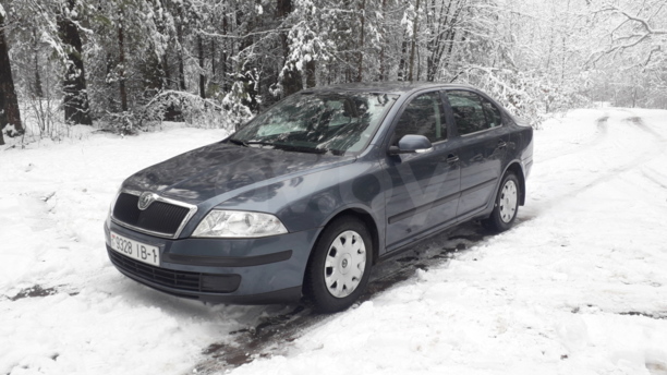 Skoda Octavia II, 2004 г.