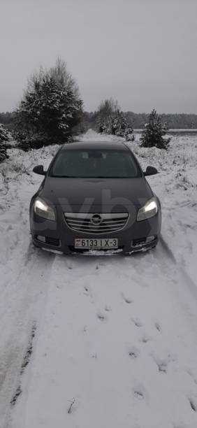 Opel Insignia I, 2009 г.