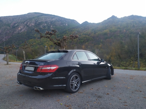 Mercedes-Benz E-Класс W212, S212, C207, A207, 2009 г.