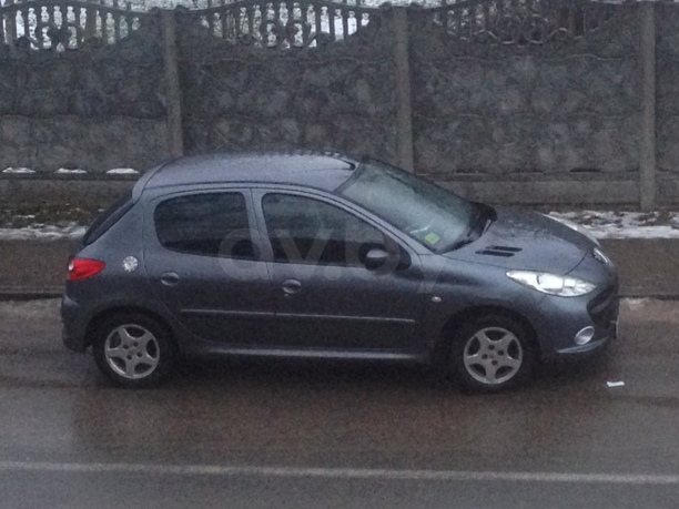 Peugeot 206 Plus, 2010 г.