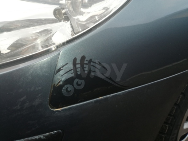 Peugeot 407, 2005 г.