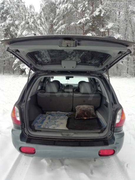 Hyundai Santa Fe SM, 5 мест, 2003 г.