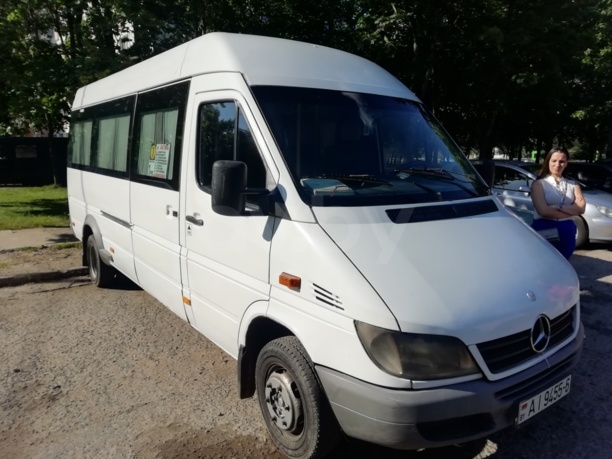 Mercedes-Benz T2 (407D-814D), 2008 г.