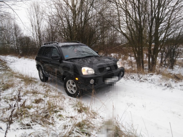 Hyundai Santa Fe SM, 5 мест, 2001 г.