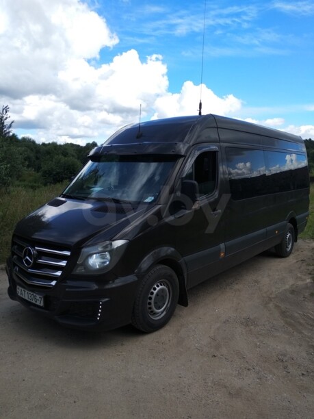 Mercedes-Benz Sprinter 906 alterra, 2010 г.