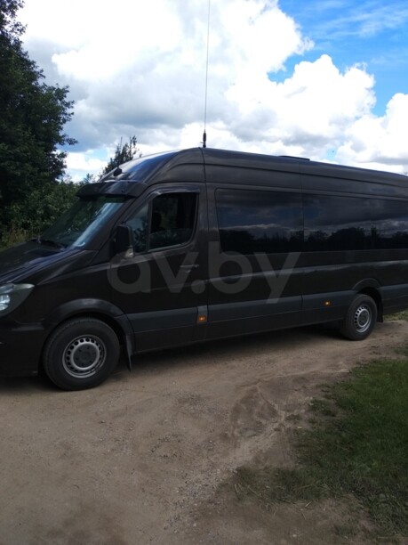 Mercedes-Benz Sprinter 906 alterra, 2010 г.
