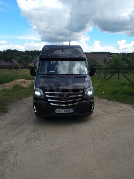 Mercedes-Benz Sprinter 906 alterra, 2010 г.