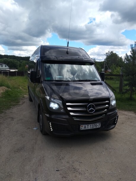 Mercedes-Benz Sprinter 906 alterra, 2010 г.