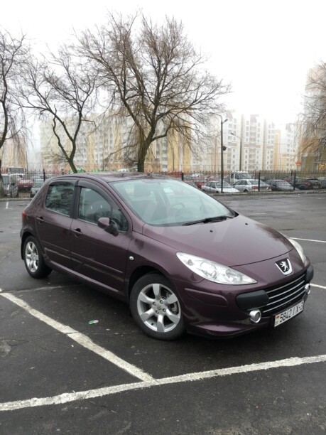 Peugeot 307 I · Рестайлинг, 2006 г.