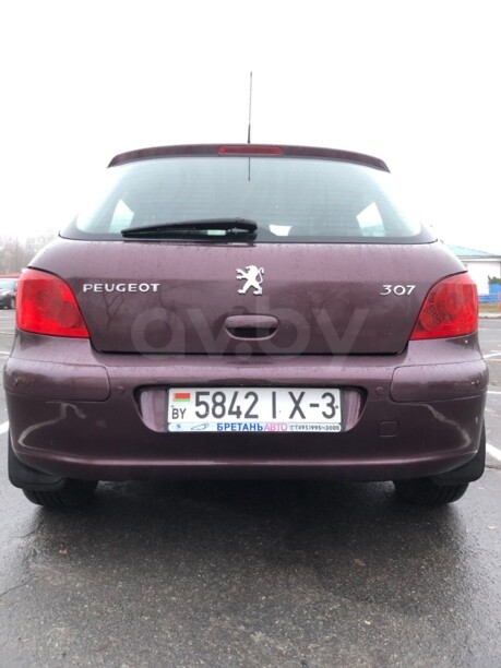 Peugeot 307 I · Рестайлинг, 2006 г.