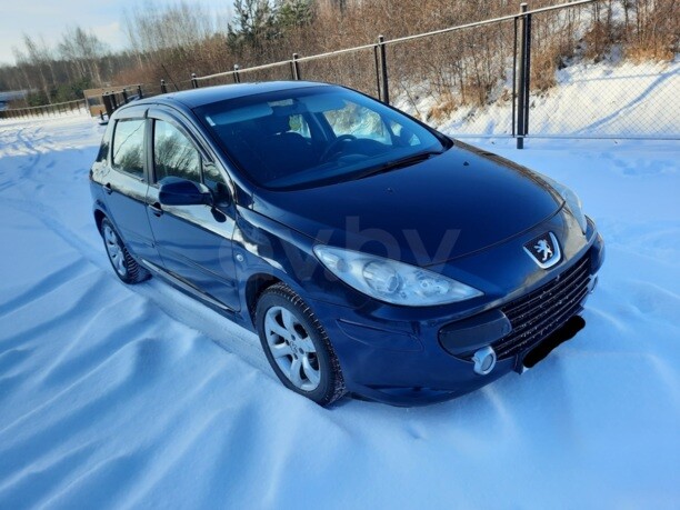 Peugeot 307 I · Рестайлинг, 2006 г.