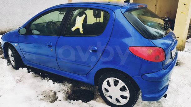 Peugeot 206 I, 2005 г.