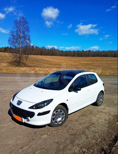 Peugeot 307 I · Рестайлинг, 2006 г.