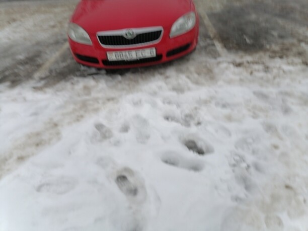Skoda Roomster I, 2010 г.