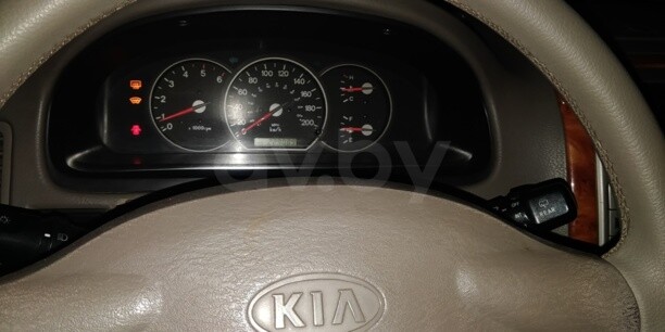 Kia Carnival I · Рестайлинг, 7 мест, 2005 г.