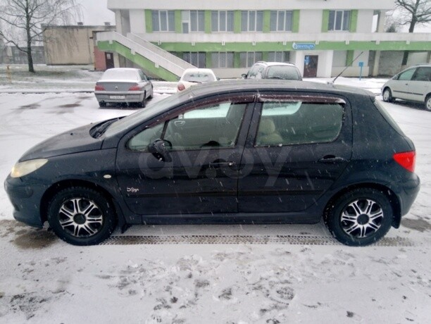Peugeot 307 I · Рестайлинг, 2006 г.