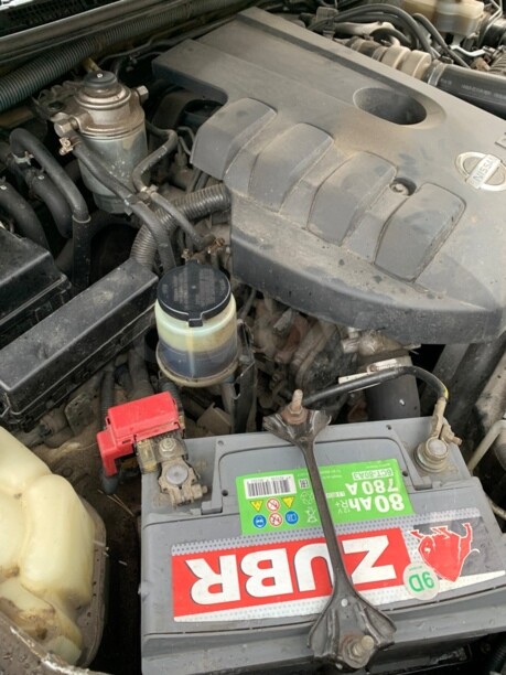 Nissan Navara D40, 2008 г.