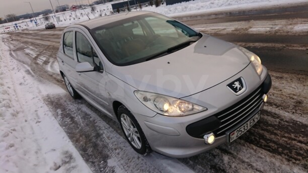 Peugeot 307 I · Рестайлинг, 2007 г.
