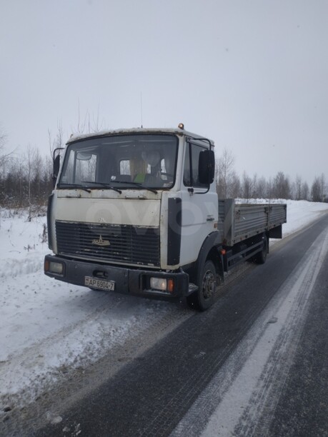 МАЗ 4370, 2008 г.
